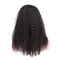 Perucas reais do laço do cabelo do Virgin do negro como o azeviche, 100 encaracolados perversos das perucas completas humanas do laço fornecedor