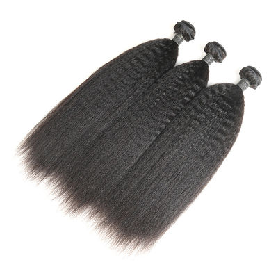 China Pacotes malaios do cabelo encaracolado de um Remy de 12 polegadas com controle restrito da qualidade do fechamento fornecedor