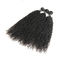 O cabelo encaracolado do Virgin preto natural empacota/o cabelo humano Weave encaracolado 3 pacotes fornecedor