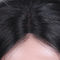 Perucas puras do laço do cabelo do Virgin/perucas dianteiras do laço para a seda das mulheres negras em linha reta fornecedor