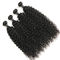 A onda de água saudável grossa faz crochê o cabelo/extensões puras do cabelo do Weave da água fornecedor